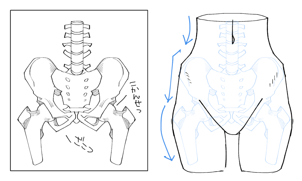 腰 ひねり 描き方 腰 ひねり 描き方