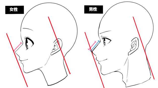 横顔の描き方は基本が大事 初心者によくある横顔作画上達の悩みを解説 イラスト 漫画 マンガ 教室 Egaco エガコ