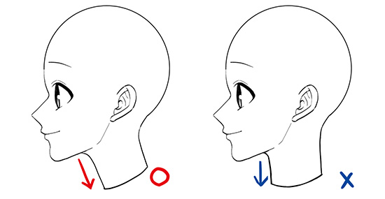 横顔の描き方は基本が大事 初心者によくある横顔作画上達の悩みを解説