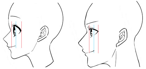 横顔 描き 方 顔の描き方 初心者向けに基本的な顔の描き方を解説 上手に描くコツも紹介 イラスト