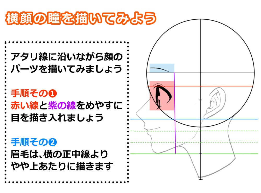 横顔の描き方は基本が大事 初心者によくある横顔作画上達の悩みを解説 イラスト 漫画 マンガ 教室 Egaco エガコ