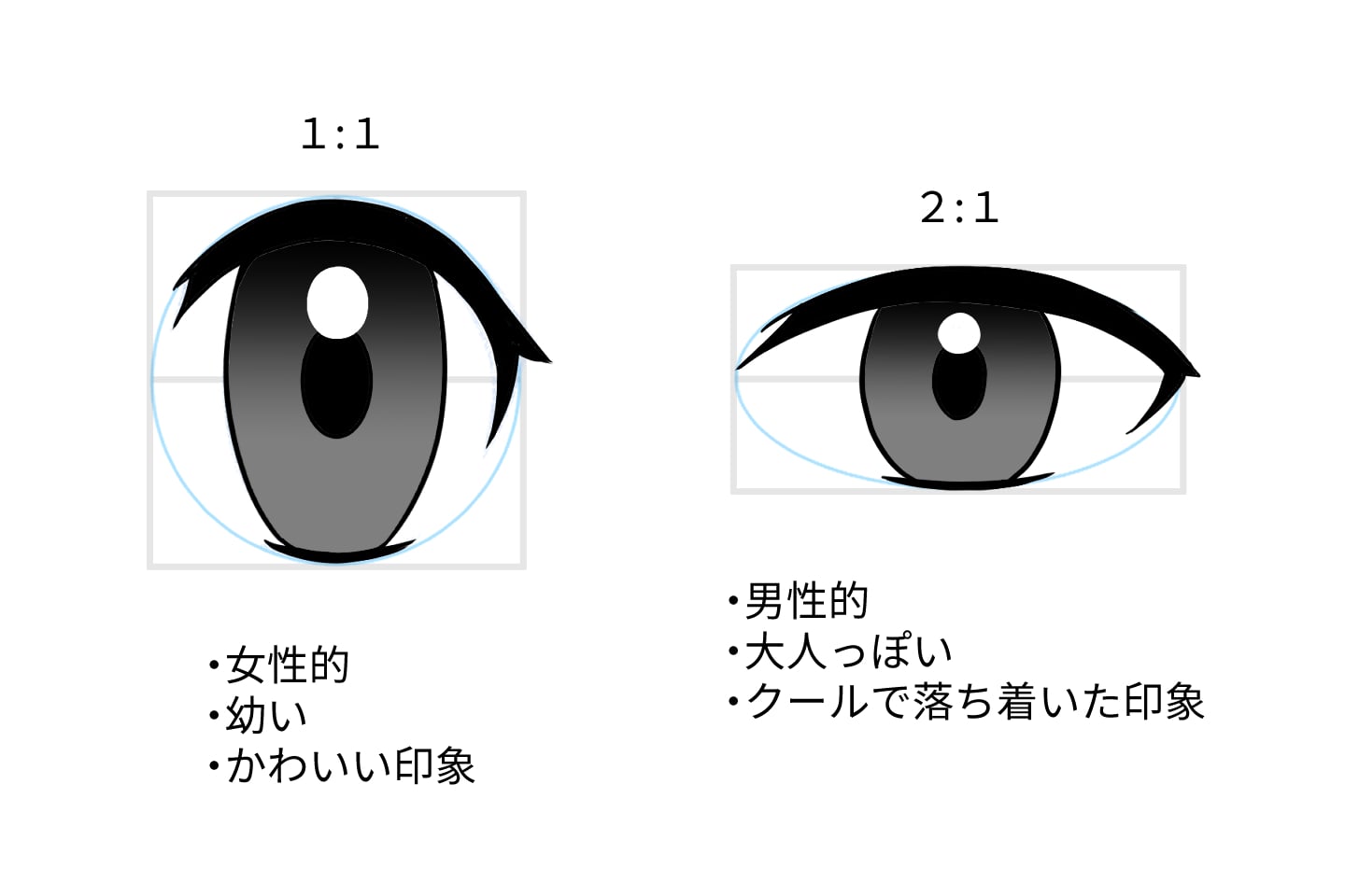 目の比率とそれぞれの印象の違い