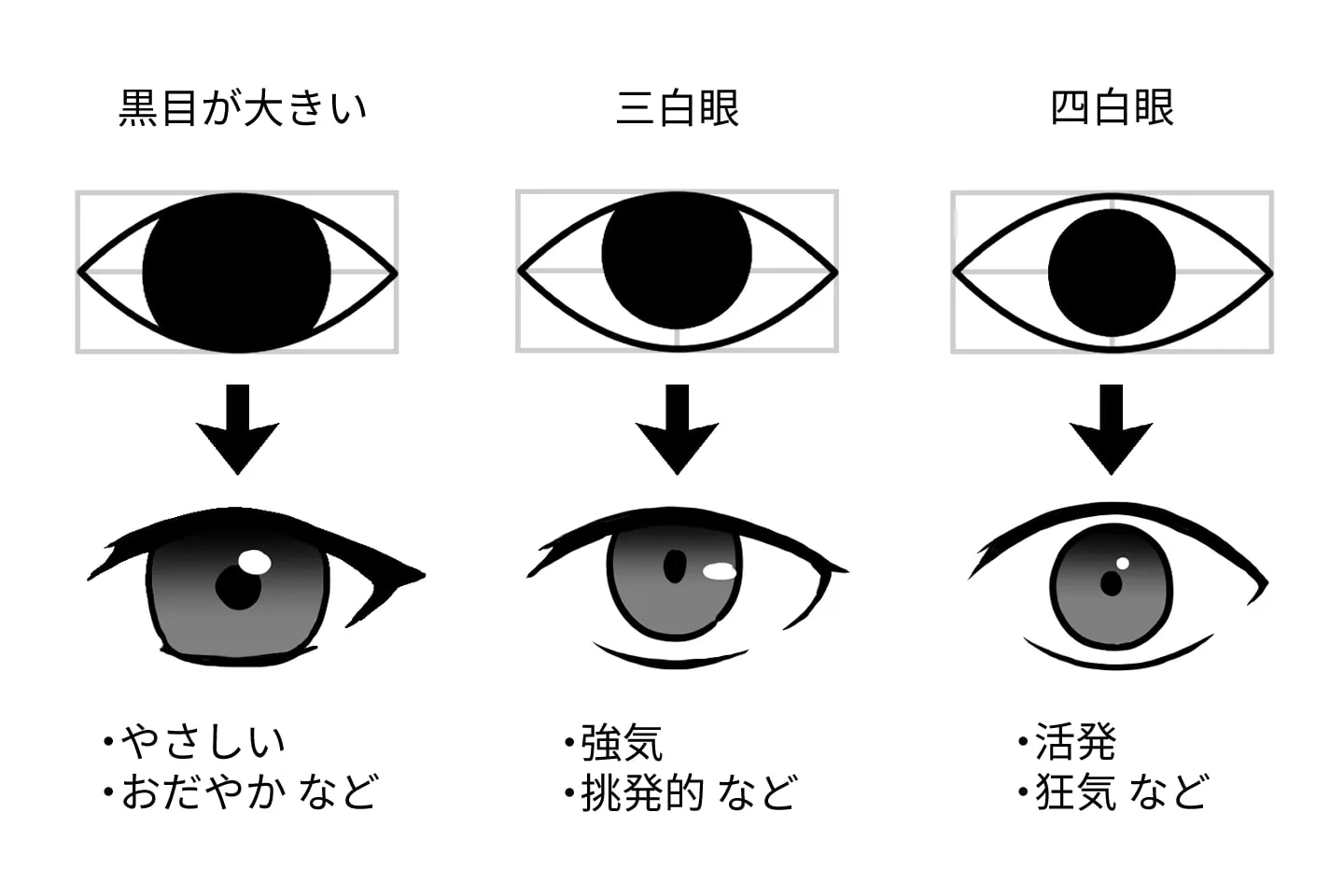黒目と白目の割合で印象を変える