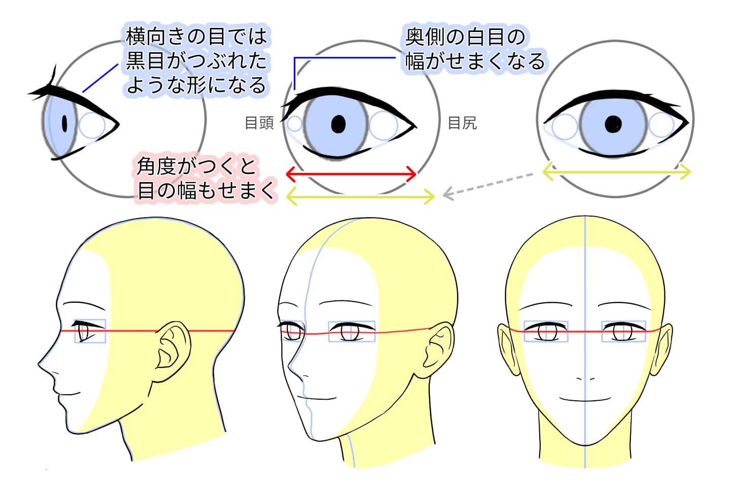 角度別の目の形と配置のポイント