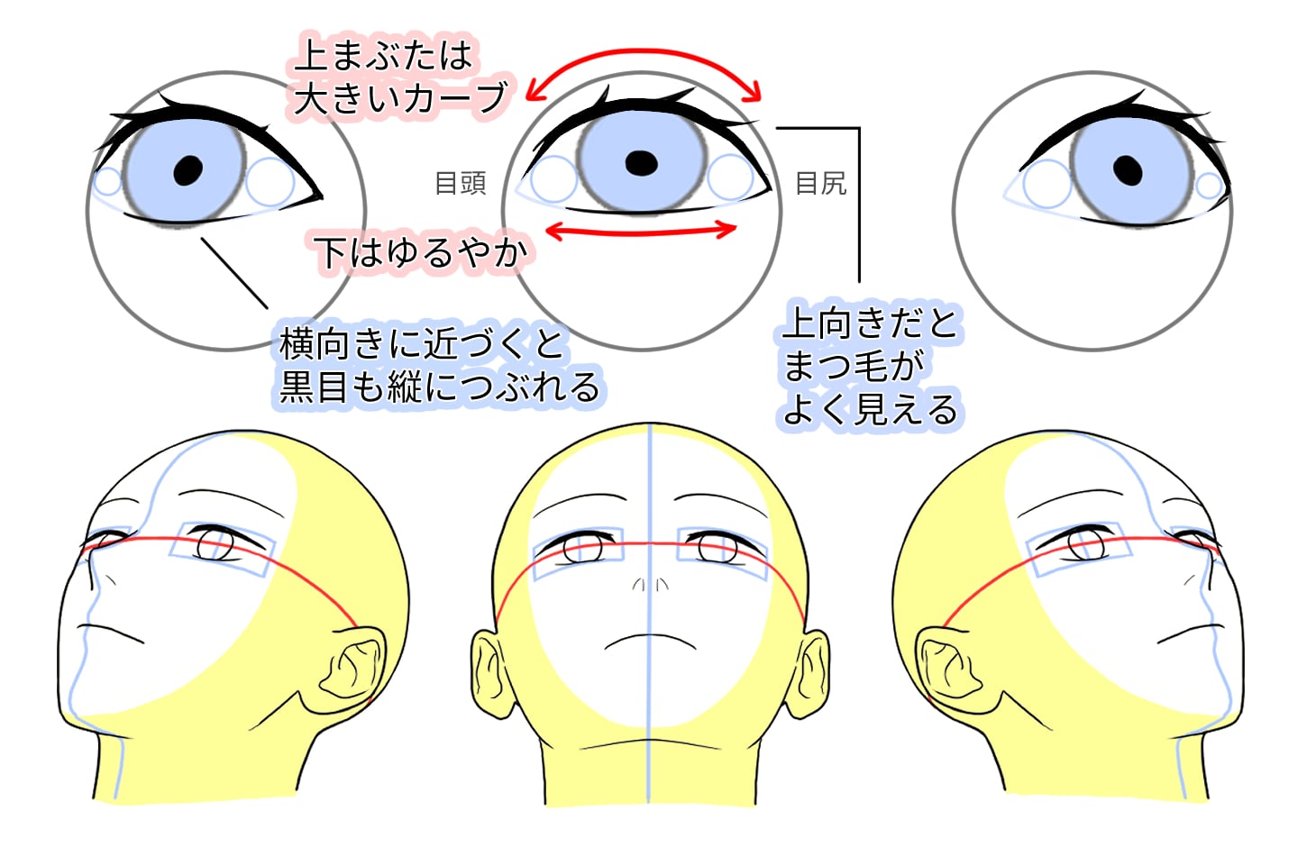 伏し目 描き 方