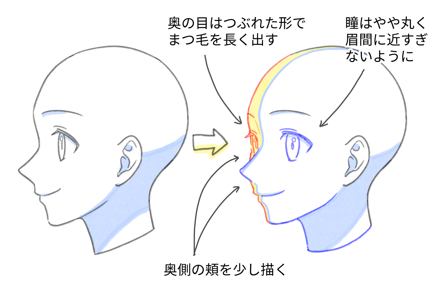 角度のついた顔の描き方のコツ アオリもフカンも自由自在に イラスト 漫画 マンガ 教室 Egaco エガコ