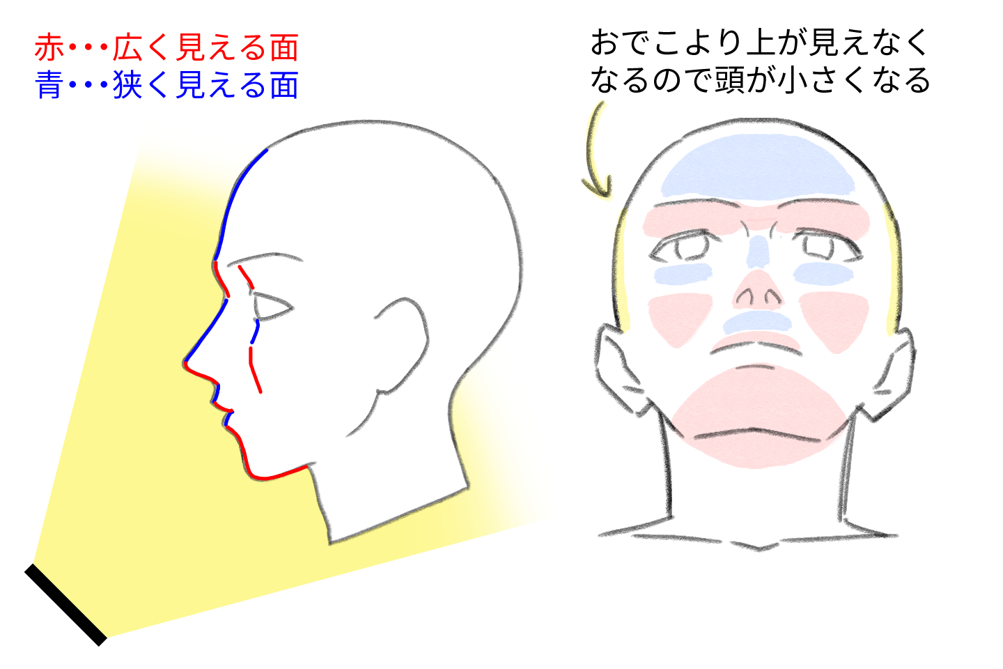 アオリ向きの顔の描き方のコツ