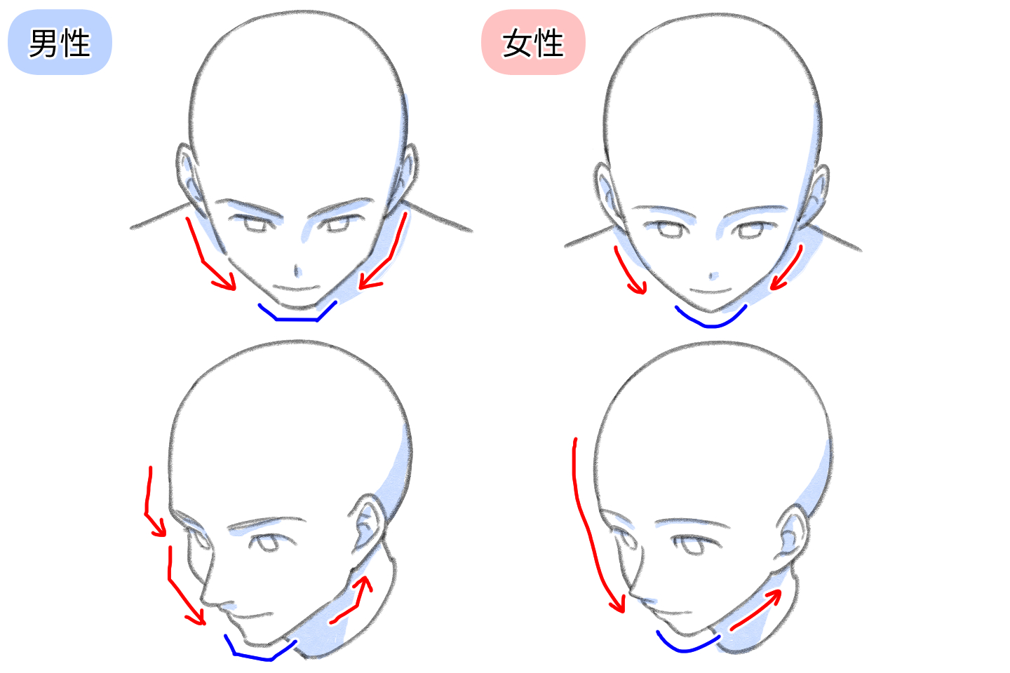 男女別のフカン顔を描くときのコツ