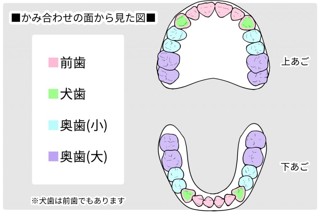 歯の描き方の基本 絵柄に合う理想の歯を描けるようになろう イラスト 漫画 マンガ 教室 Egaco エガコ