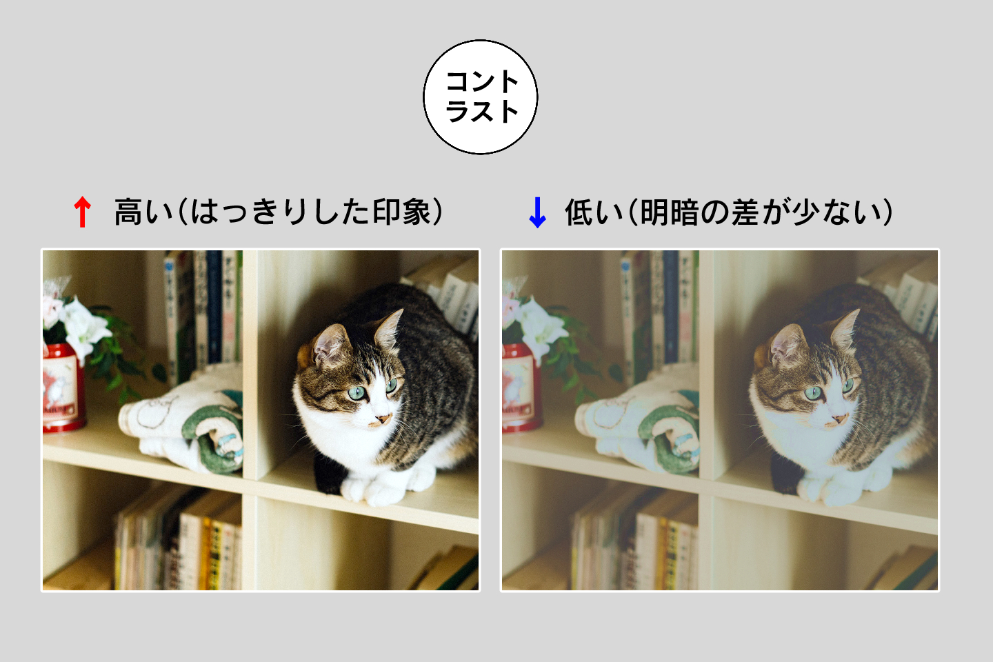 コントラストとは