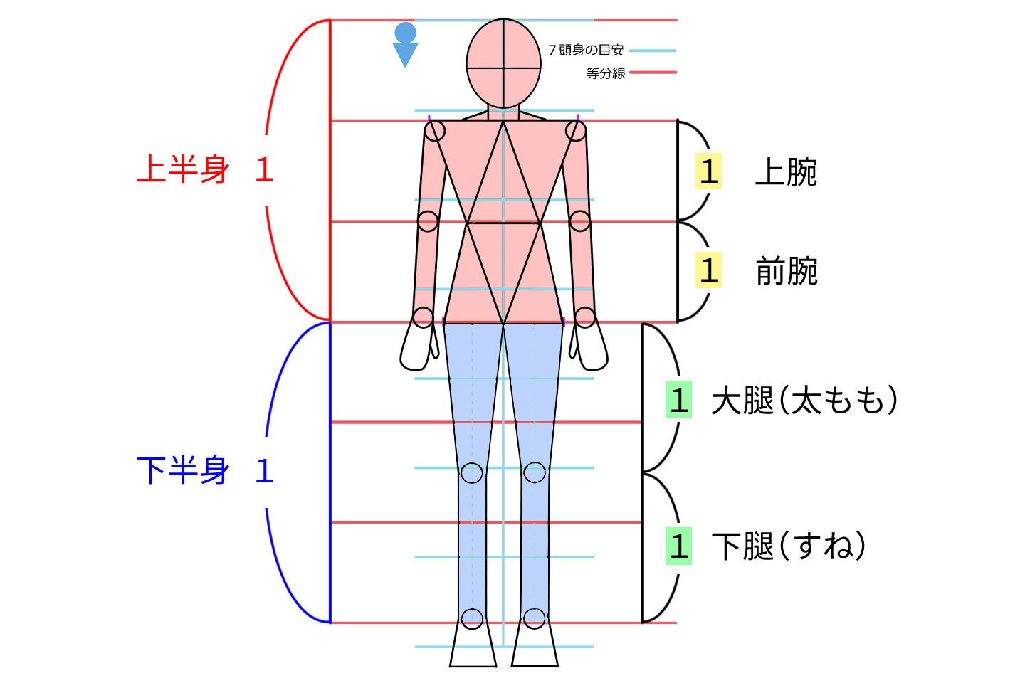 全身のバランス