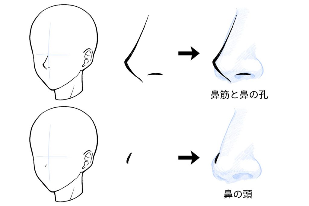 鼻の描き方のコツ 鼻の描き方を上達して理想の顔を描こう イラスト 漫画 マンガ 教室 Egaco エガコ