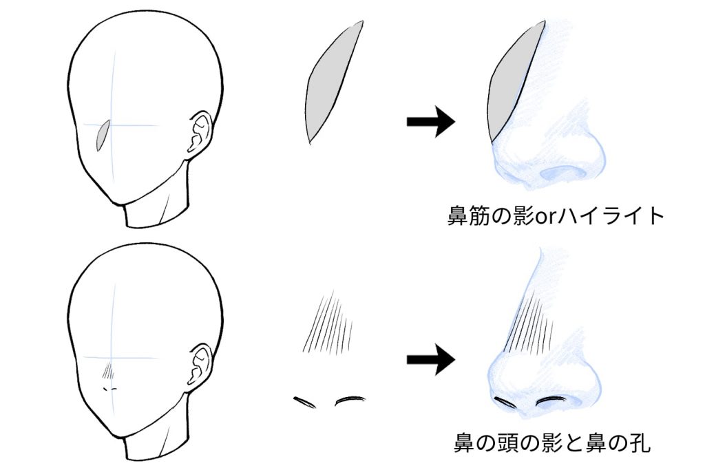 鼻の描き方のコツ 鼻の描き方を上達して理想の顔を描こう イラスト 漫画 マンガ 教室 Egaco エガコ