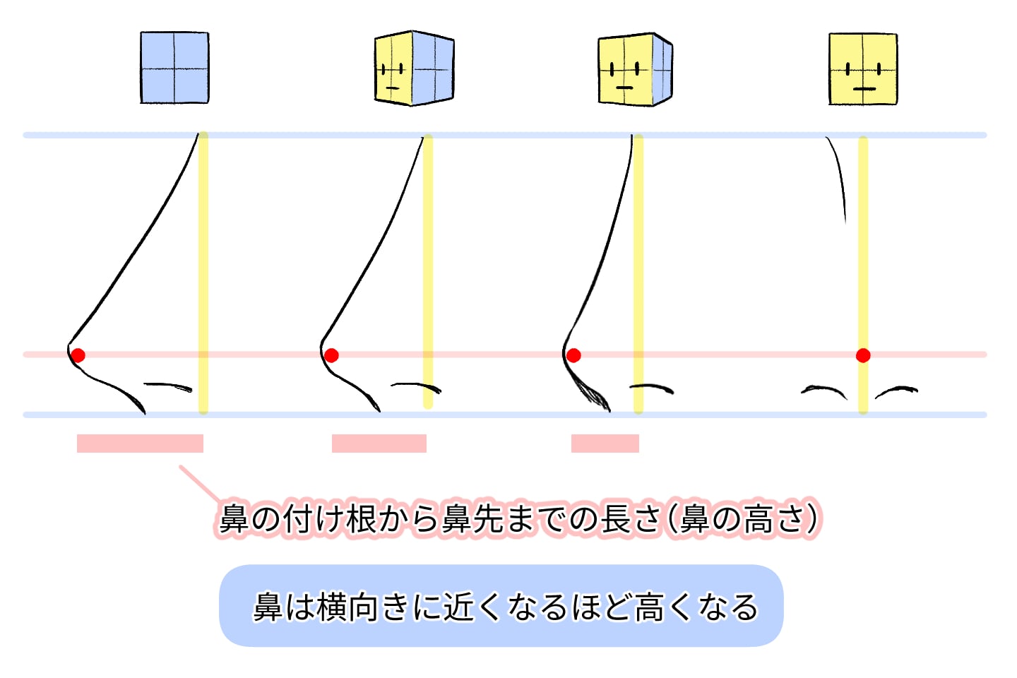 横向きに近づくにつれ鼻は高くなる