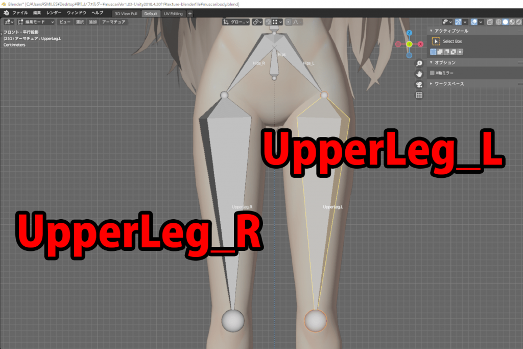 名前をUpperLeg_LとUpperLeg_Rに変更