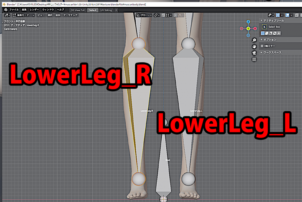 名前をLowerLeg_LとLowerLeg_Rにします