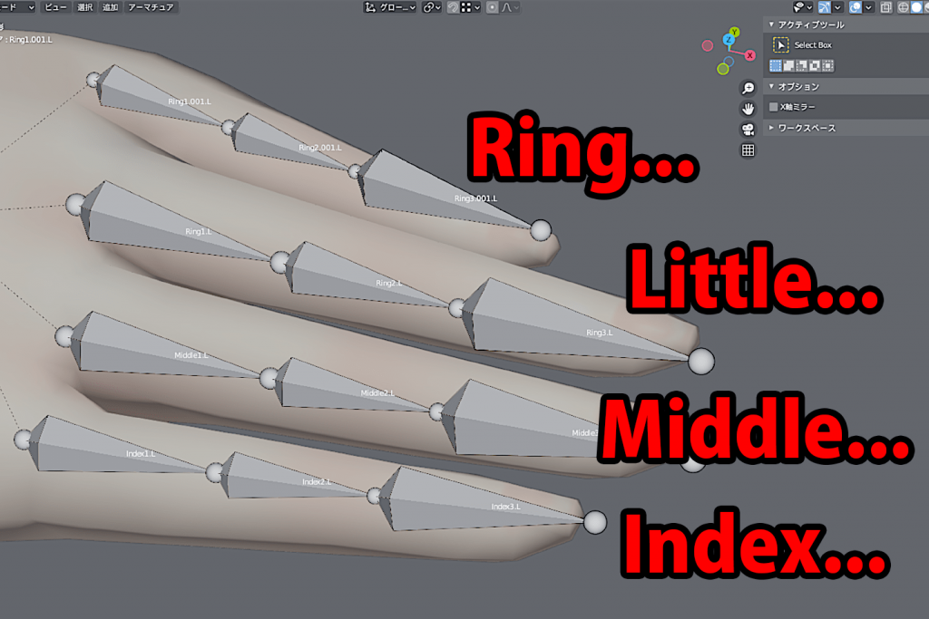 人差し指はIndex、中指はMiddle、薬指はRing、小指はLittleに名前を変更