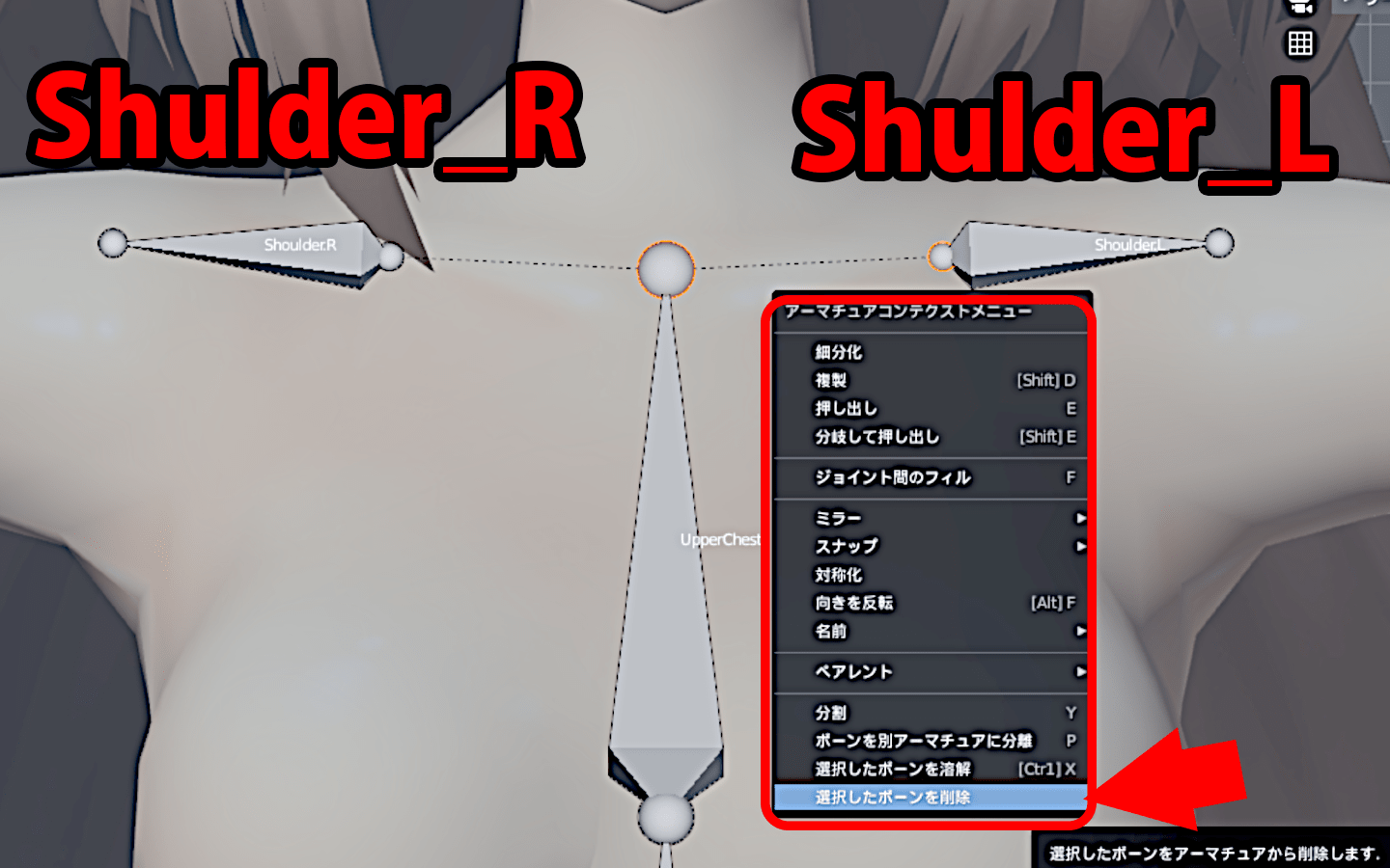 残りのボーンの名前をShoulder_RとShoulder_Lに変更