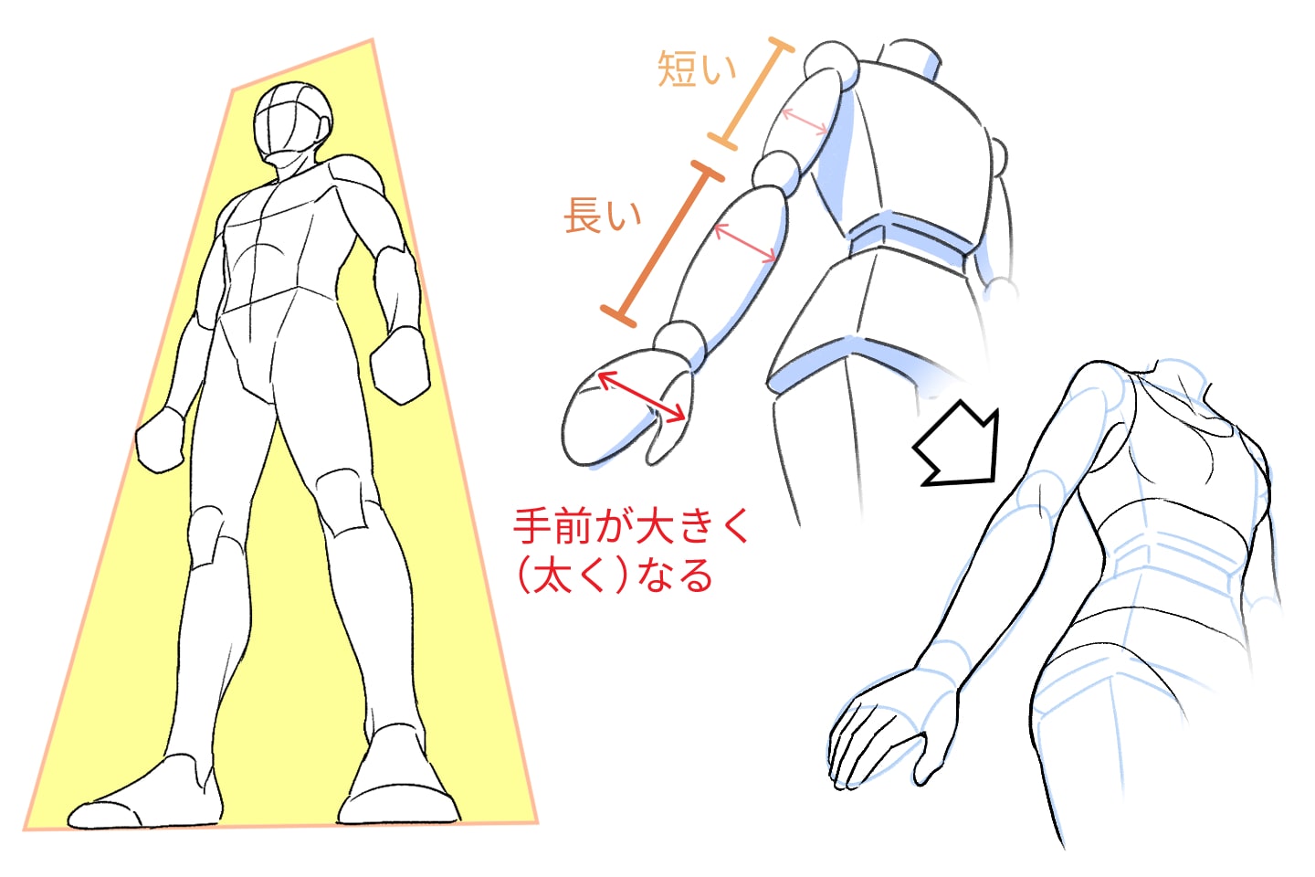 人体作画のアオリの構図