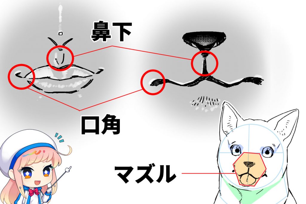 犬の描き方の基本とコツ 犬の顔や体を違和感なく描こう イラスト 漫画 マンガ 教室 Egaco エガコ