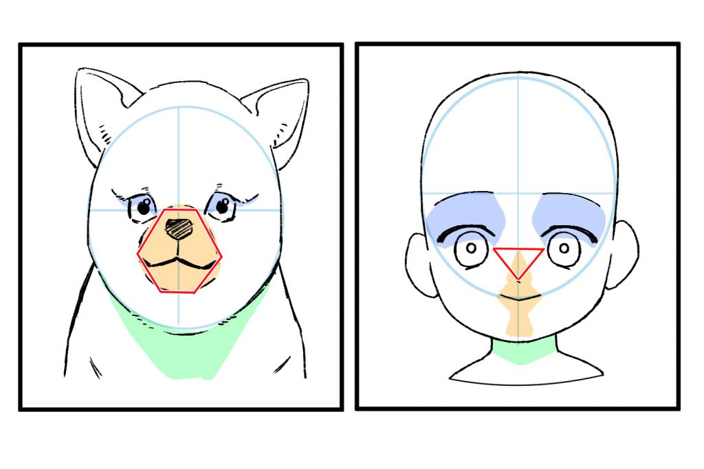 子犬と成犬を描き分けるポイント