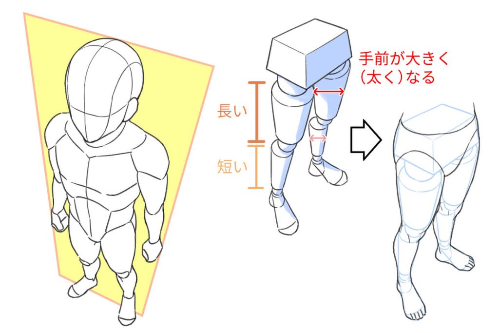 俯瞰（フカン）の体の描き方を解説！上から見た体を歪みなく描くコツ