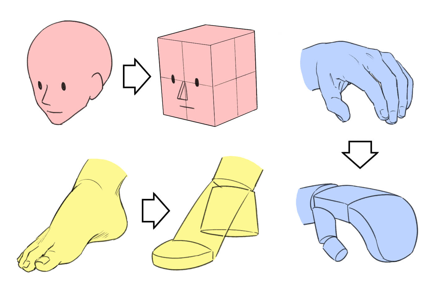 人体を単純な立体図形に置き換えたイラスト