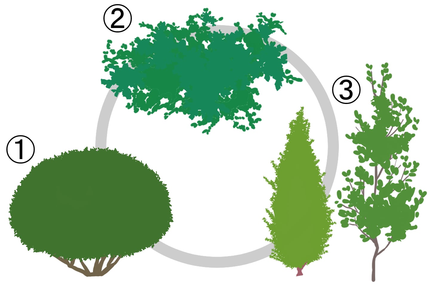 低木のイラスト