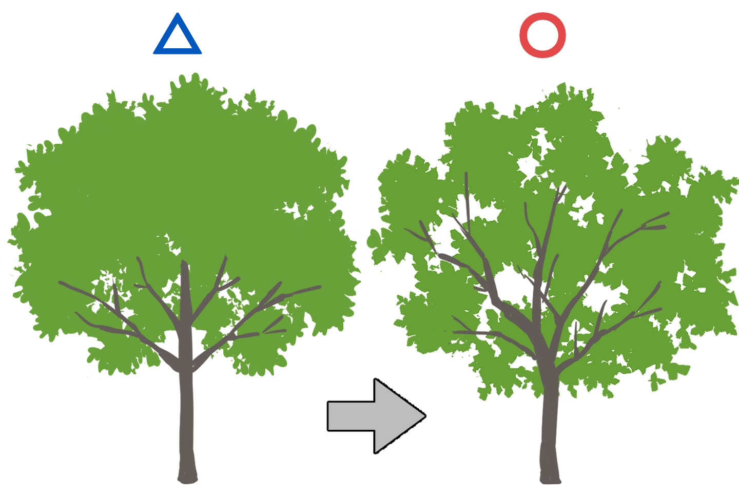 左右対称で木の形が揃ってしまっているイラスト