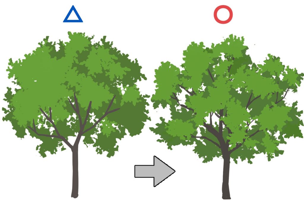 簡単】木の描き方を種類別に解説！木らしさをお手軽表現で描こう - イラスト・漫画(マンガ)教室 egaco(エガコ)