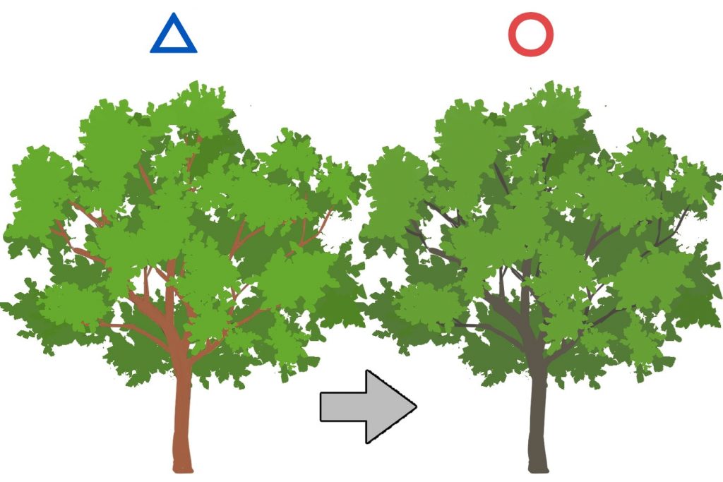 木の幹を茶色に塗ったイラスト