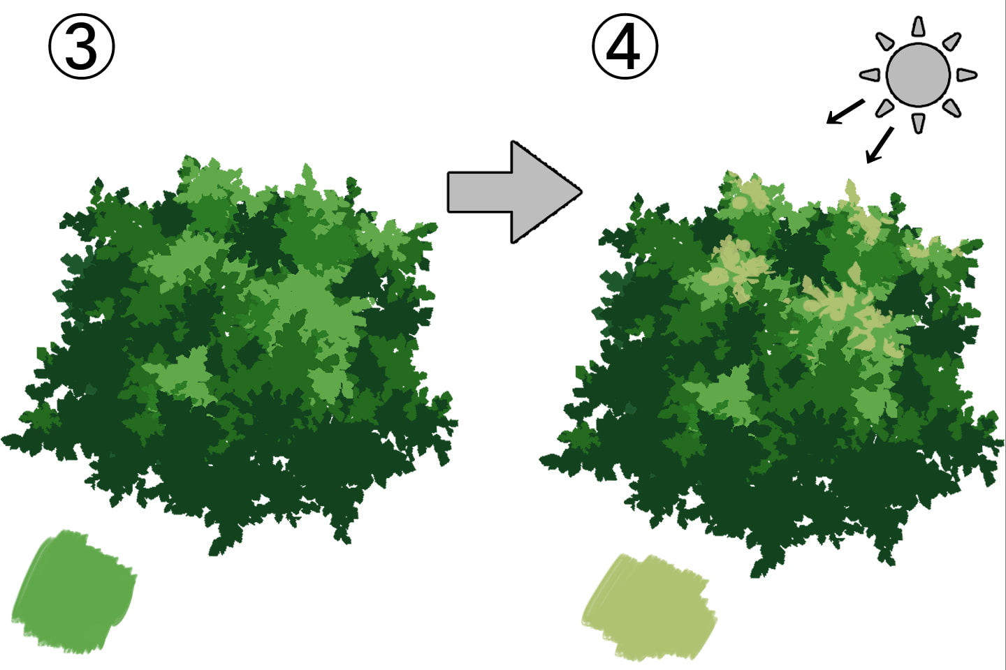 低木に立体感をつける