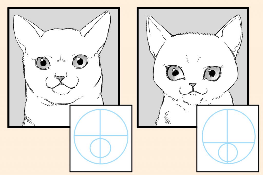猫の正面顔の描き方