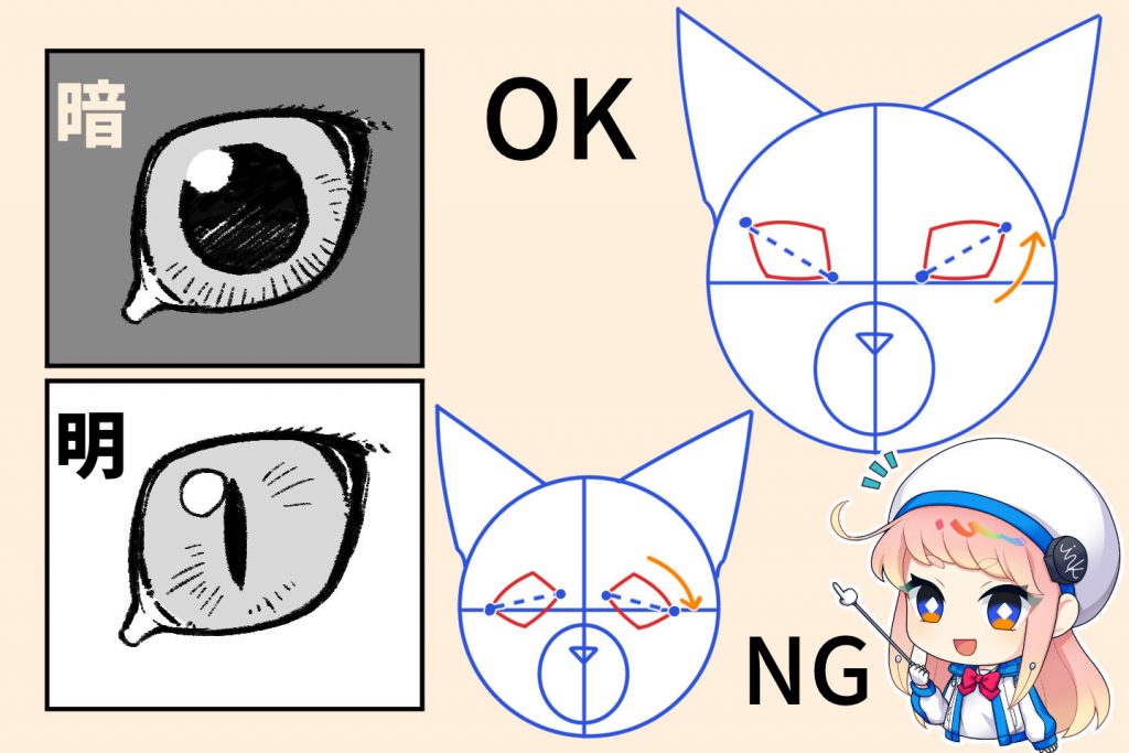 猫の目元の特徴