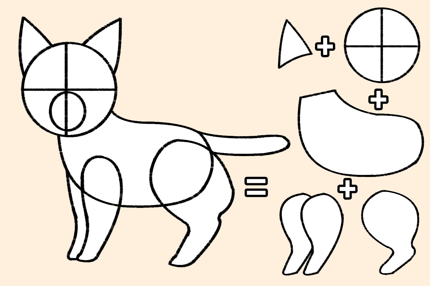 猫のウェストがくびれない図解