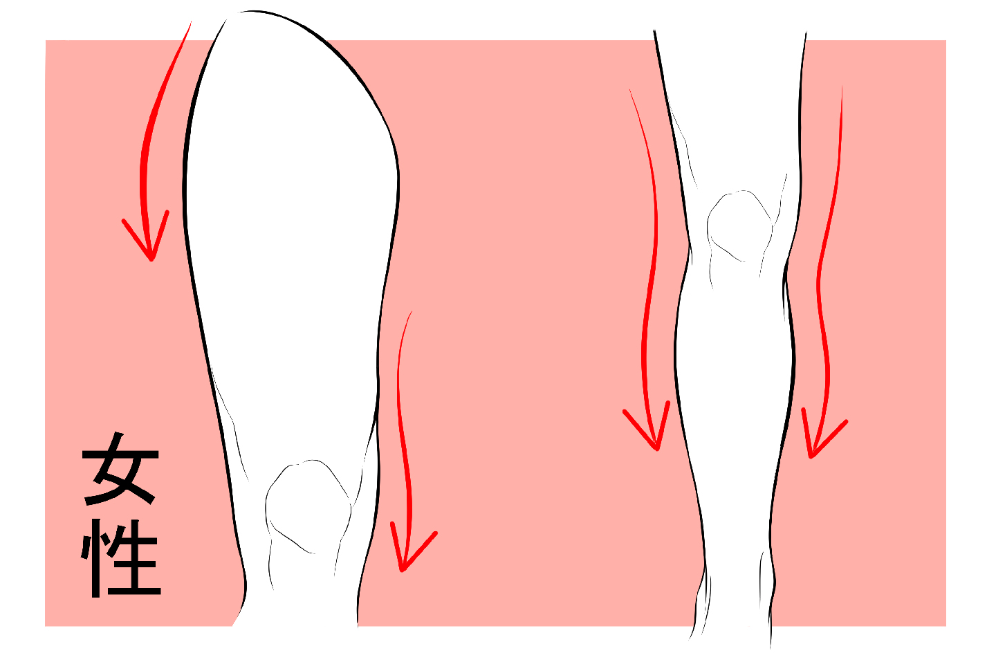 女性の足のパーツ分け