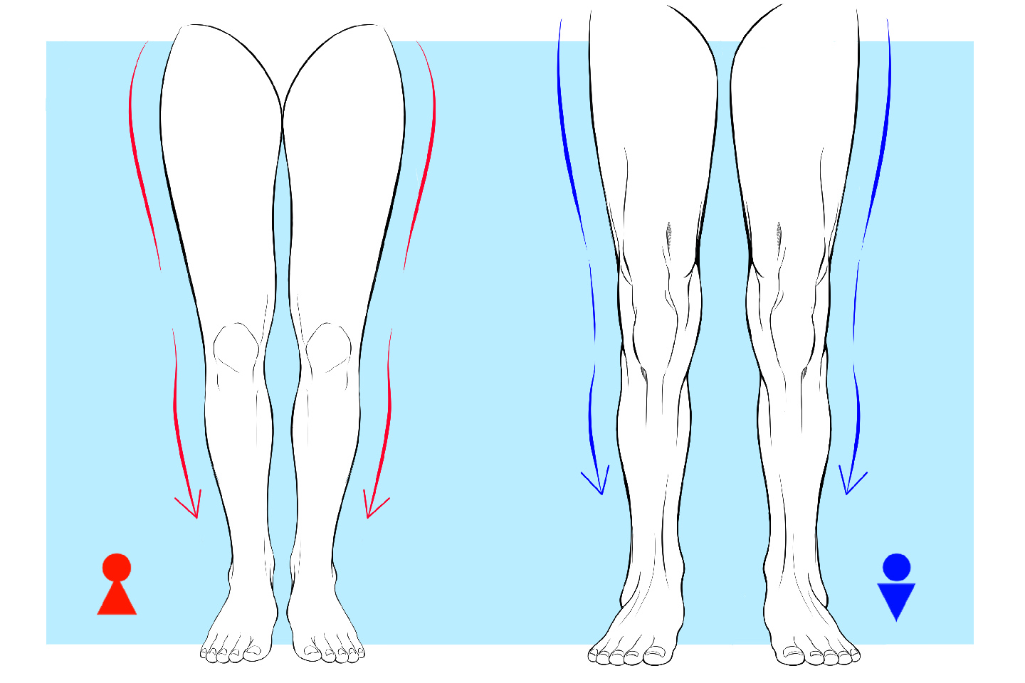 男女の足の描き方の違い