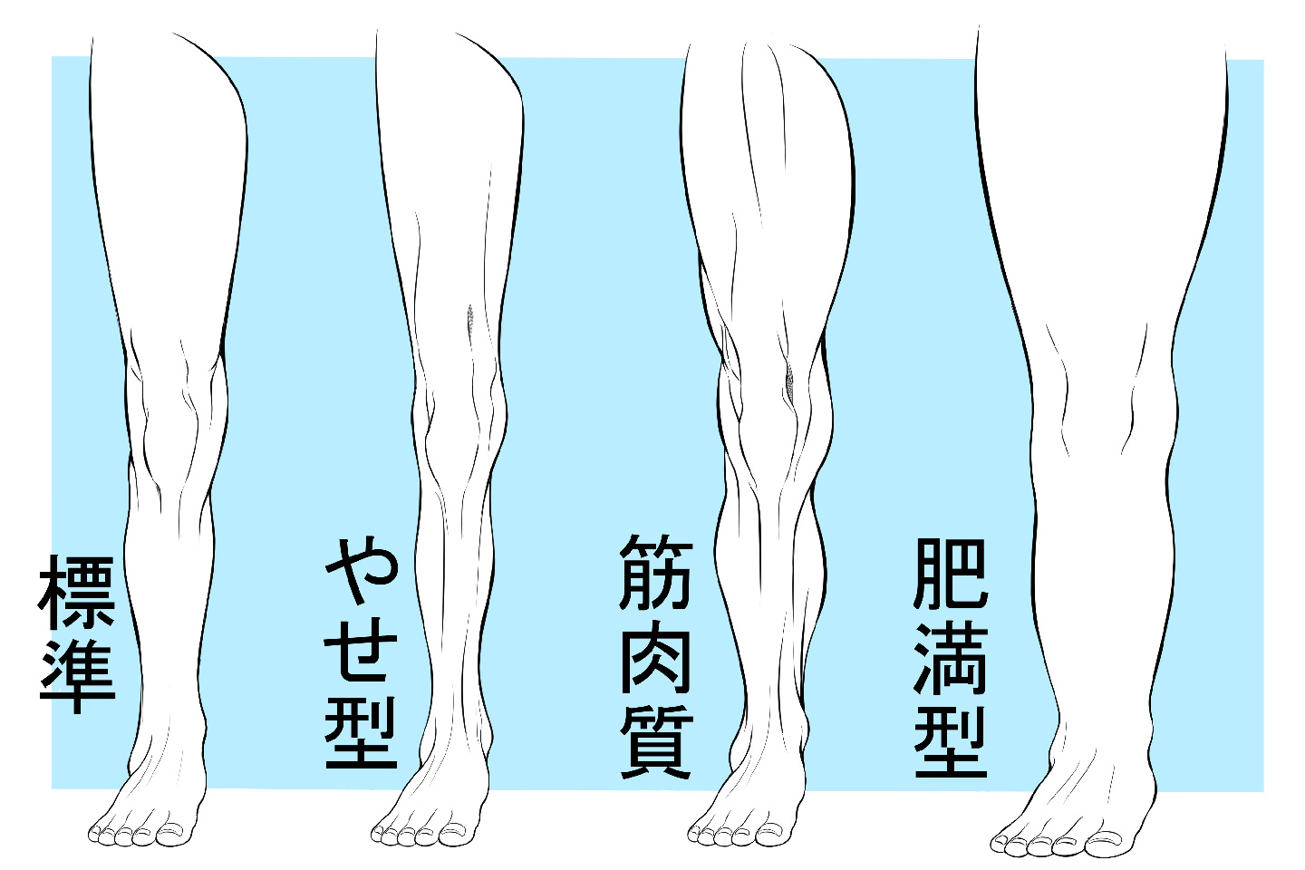 体系での足の描き分けの違い