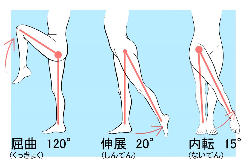 足の可動域の解説