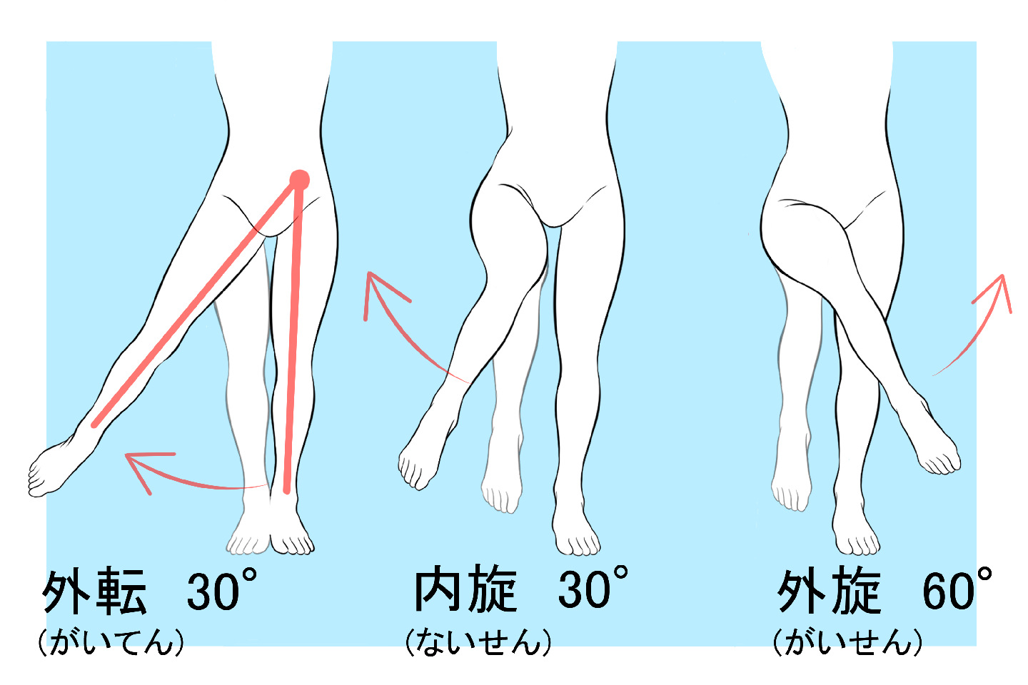 足の外転・外旋・内旋の説明
