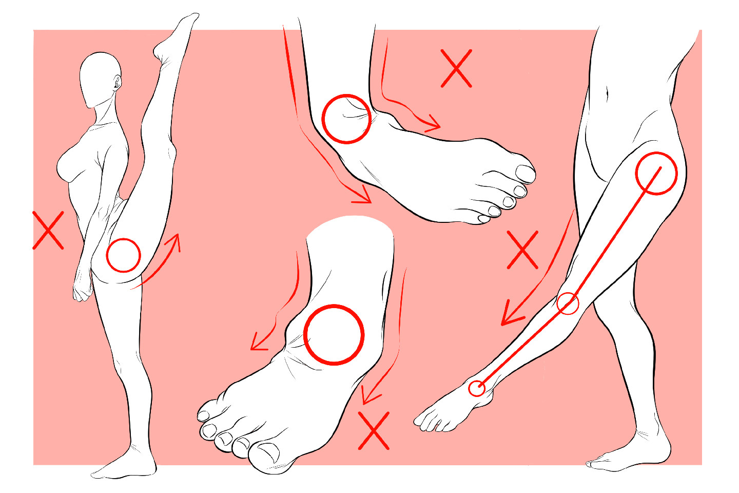 足の股関節、膝、足首関節の可動範囲イラスト