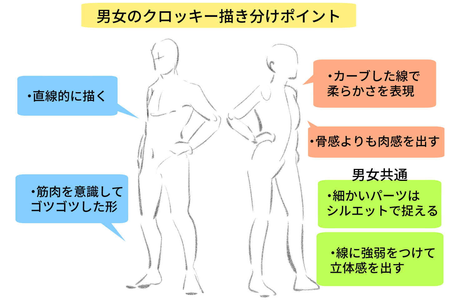 男女のクロッキー描き分けについて