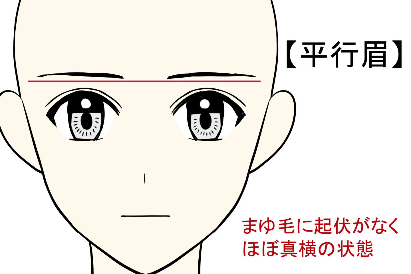平行眉の描き方コツ