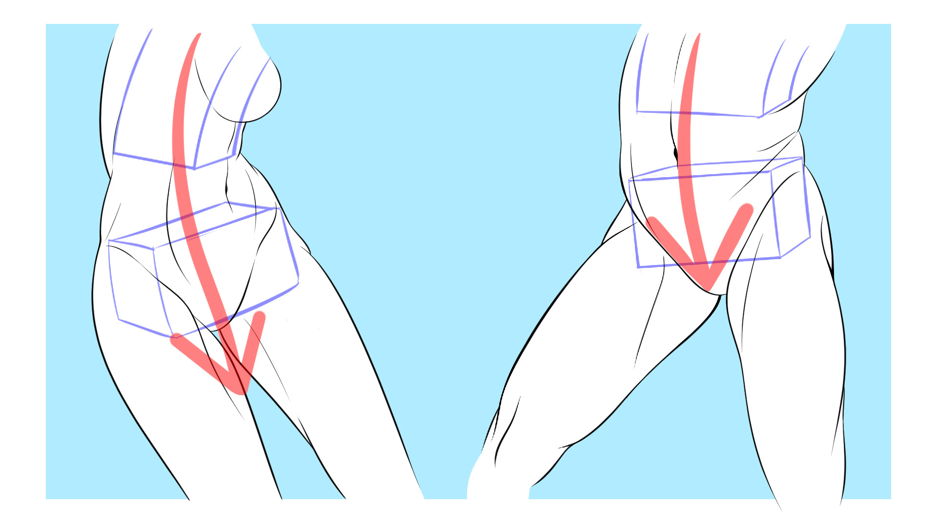 腰の作画の基本的な考え方