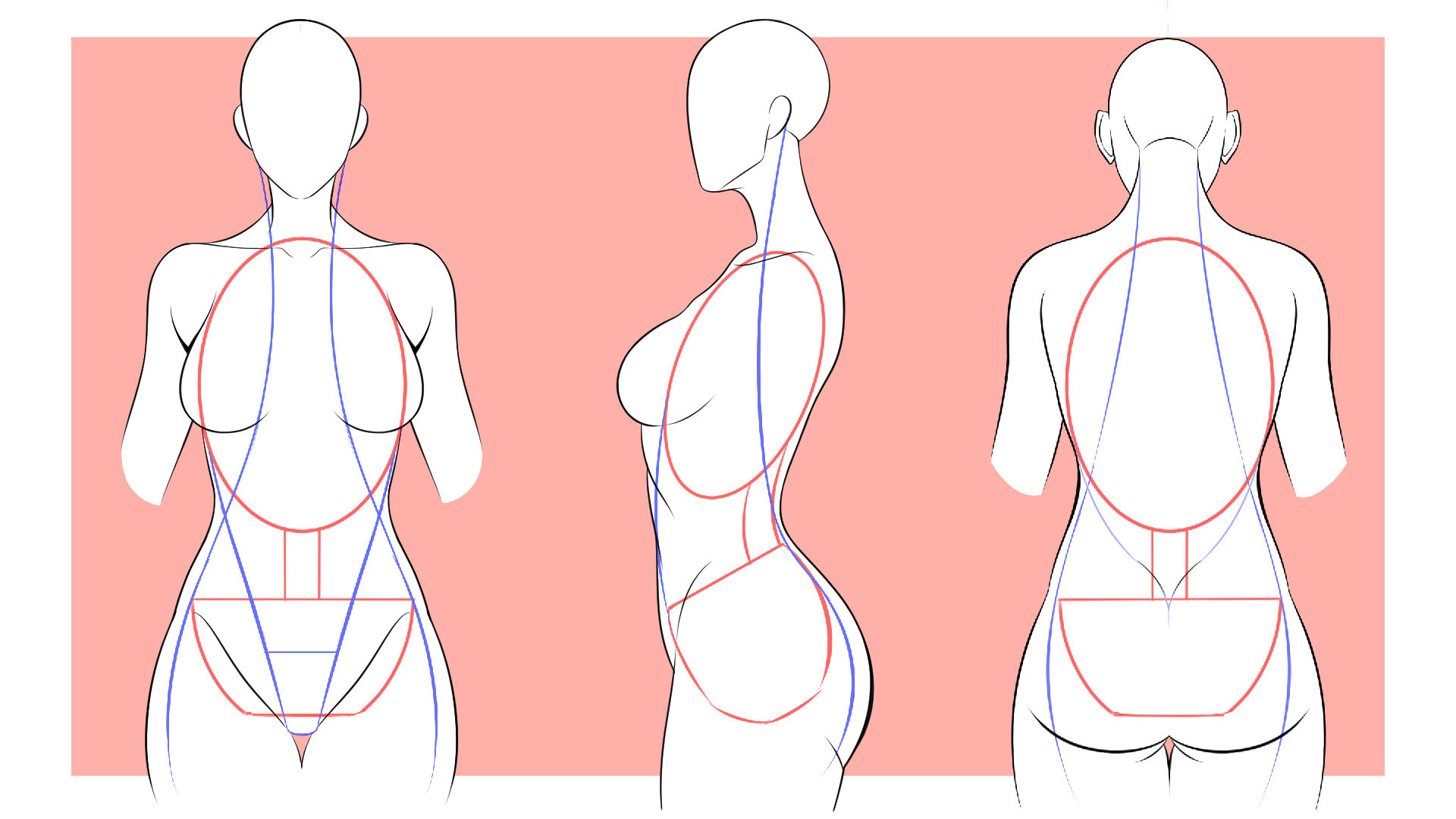 腰のつながりを意識したあたりの取り方イラスト