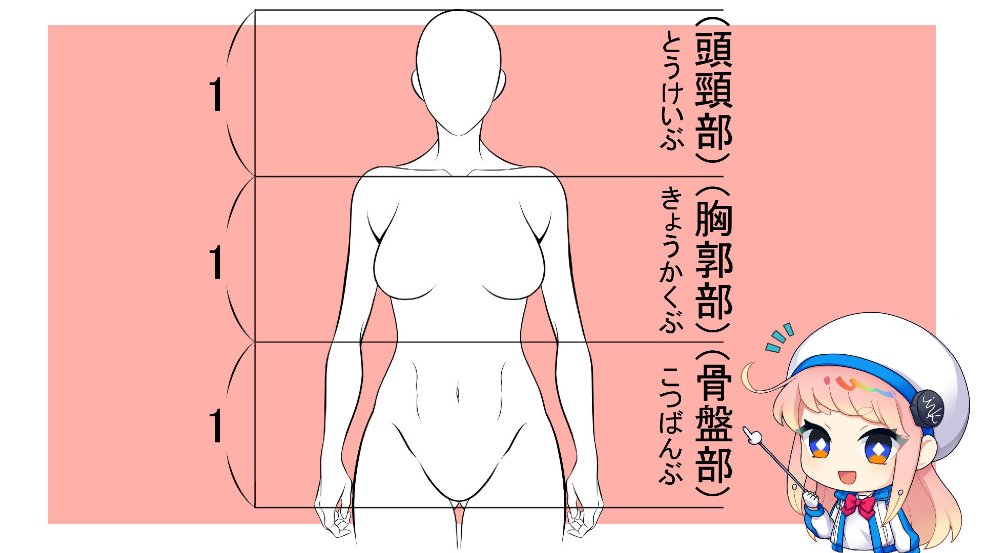 腰の描き方の比率