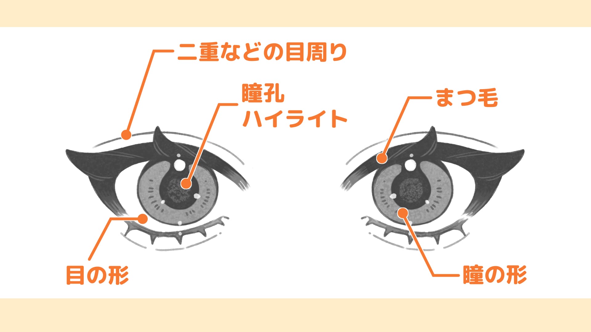 目のパーツ毎に描き分けのバリエーションを知ろう!