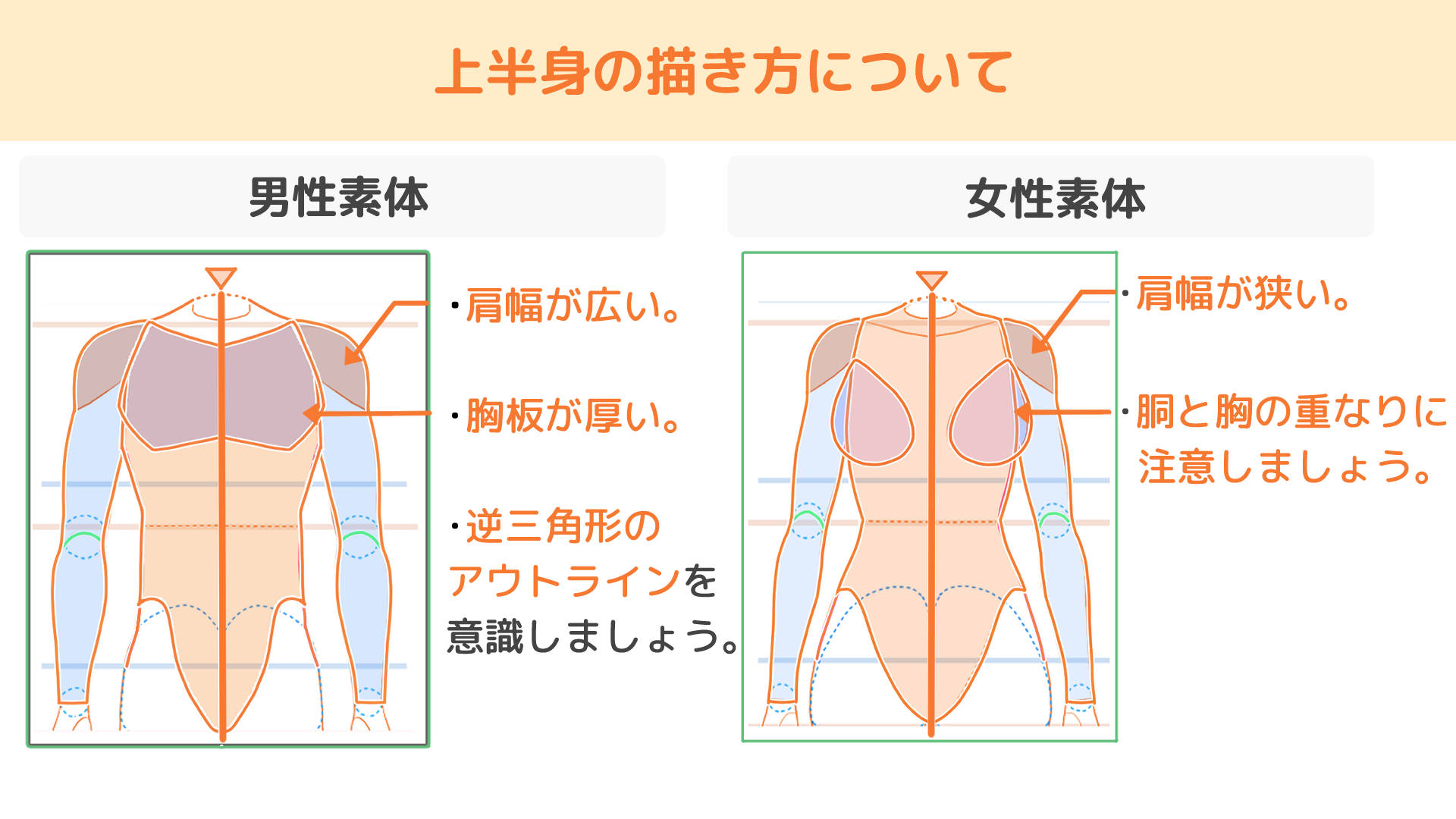 ③-1_上半身の描き方について