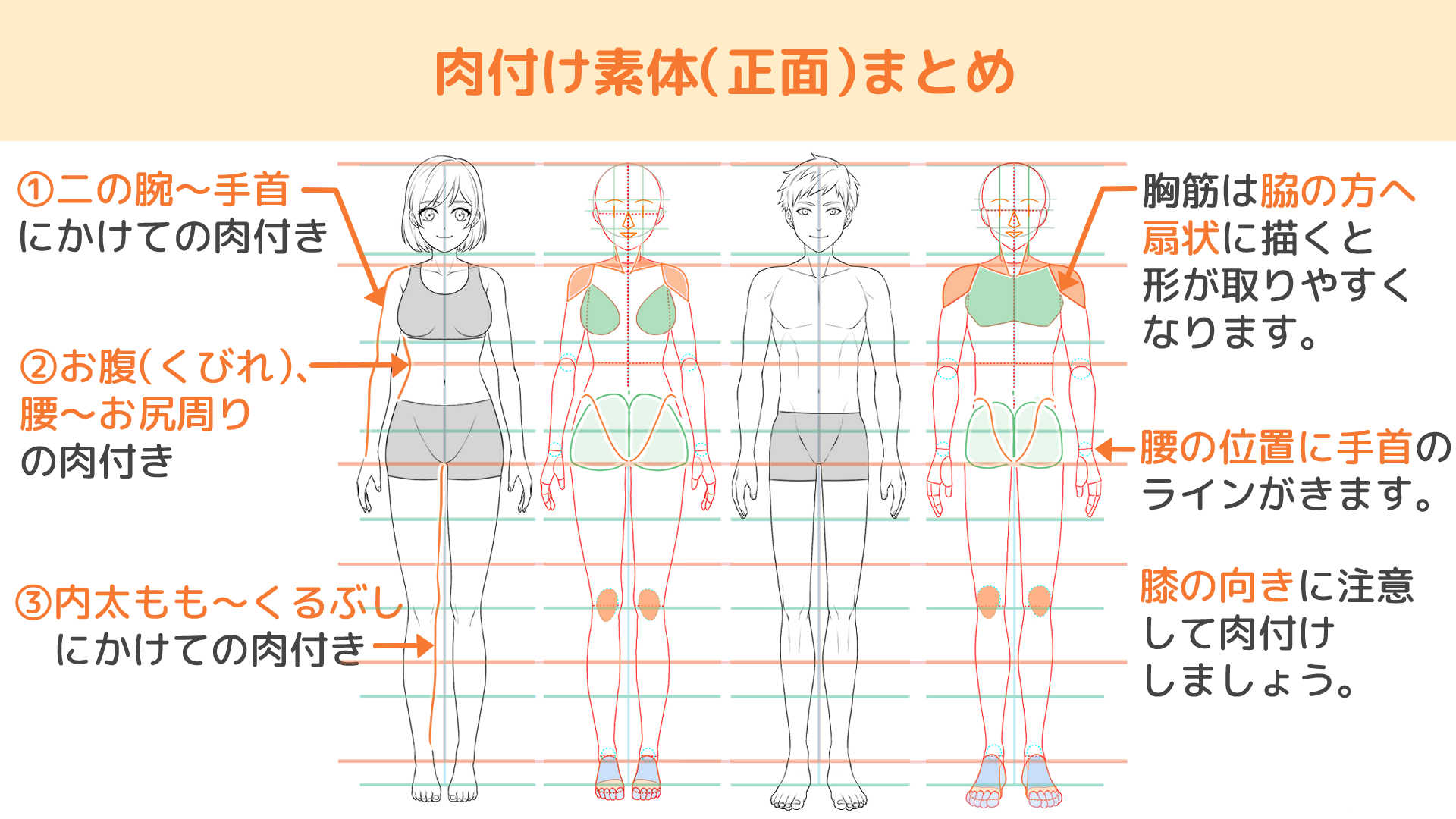 ⑦_肉付け素体（正面）まとめ