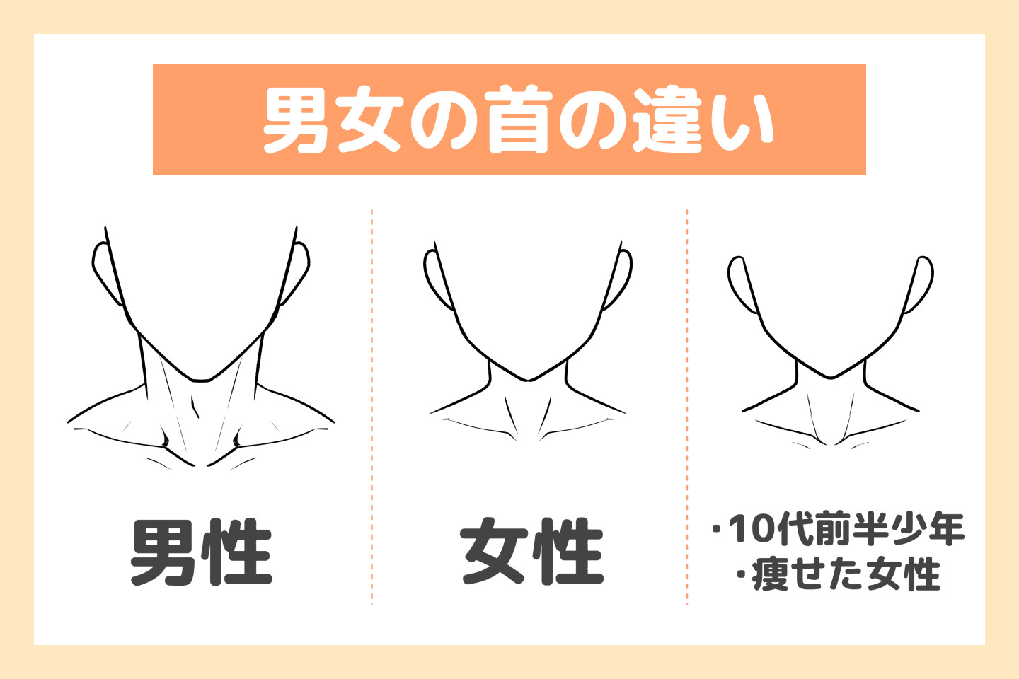 男女の首の違い